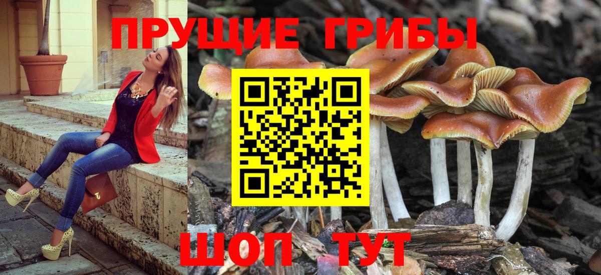 Галлюциногенные грибы мицелий  Галлюциногенные грибы мухоморы  Приморско-Ахтарск  Вход с VPN 